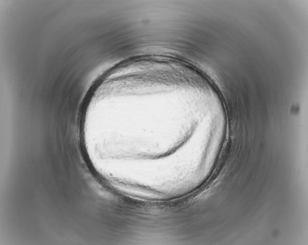 X0000091100987200709041319