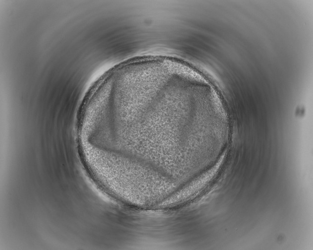 X0000091100990200709041319