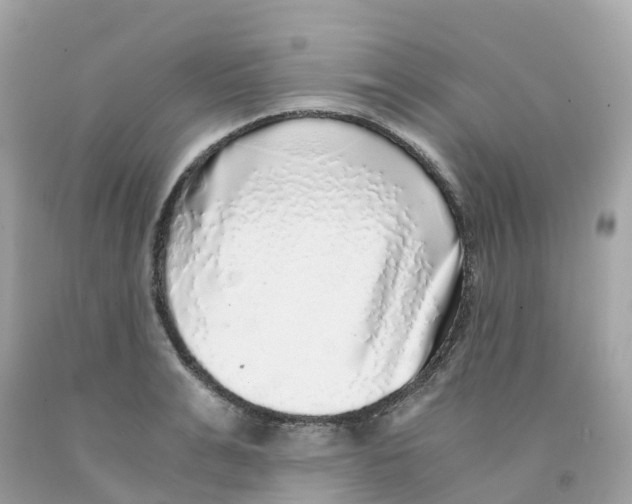 X0000091100991200709041319