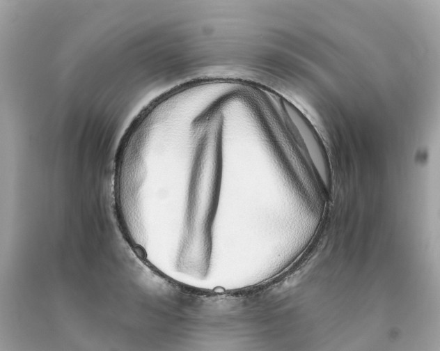 X0000091100992200709041319