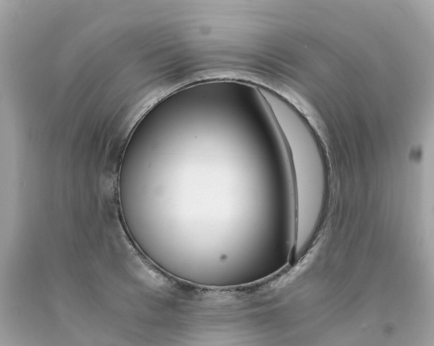 X0000091100993200709041319