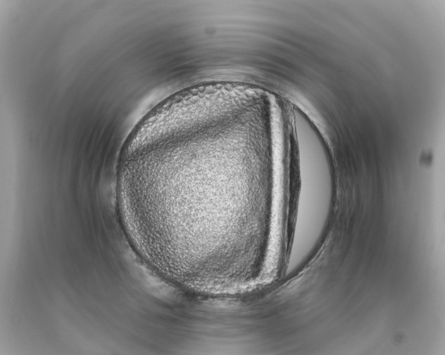 X0000091100994200709041319