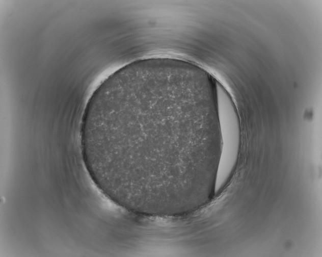 X0000091100995200709041319