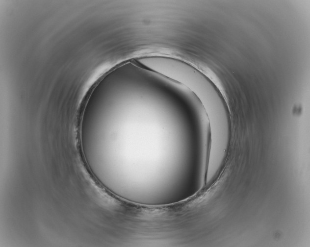 X0000091100997200709041319