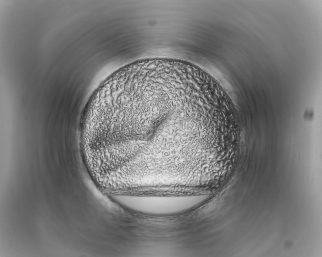 X0000091100998200709041319