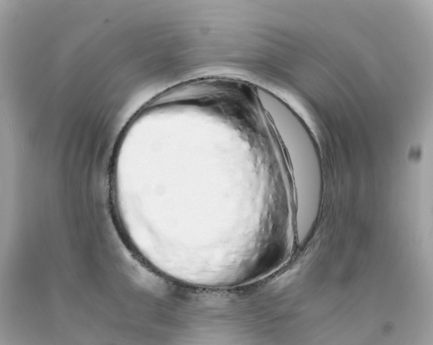 X0000091100999200709041319