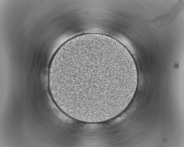 X0000091101000200709041319