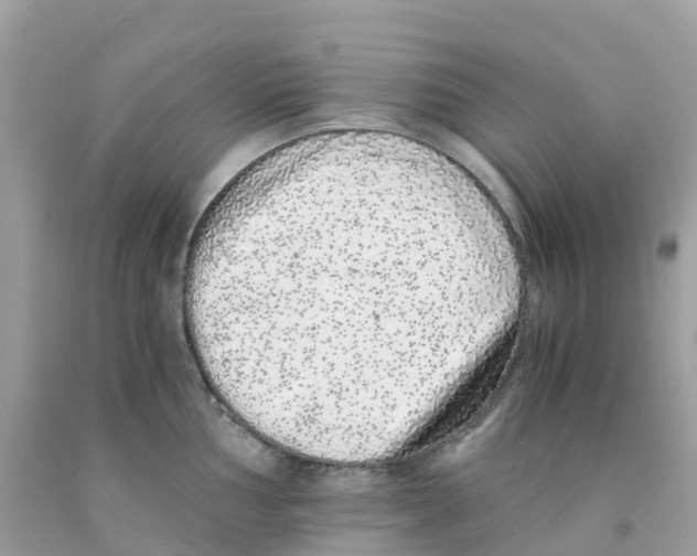 X0000091101002200709041319