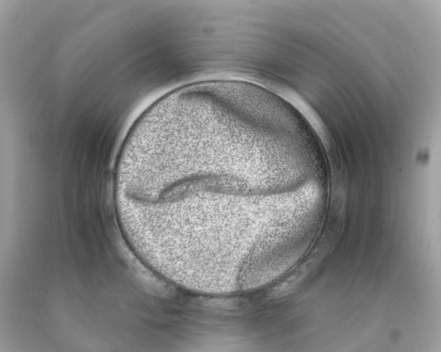 X0000091101004200709041319