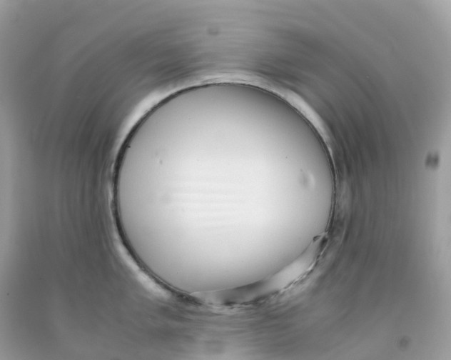 X0000091101005200709041319