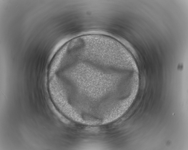 X0000091101006200709041319