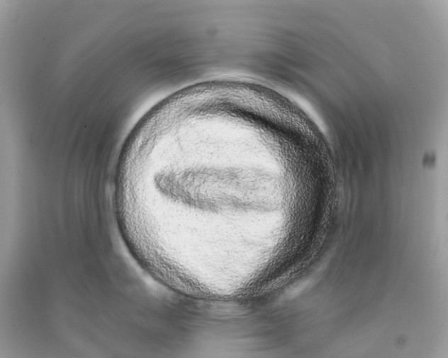 X0000091101007200709041319