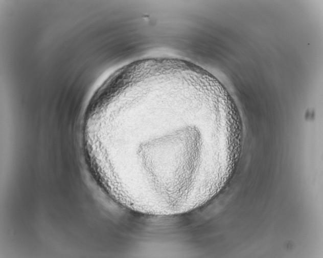 X0000091101008200709041319