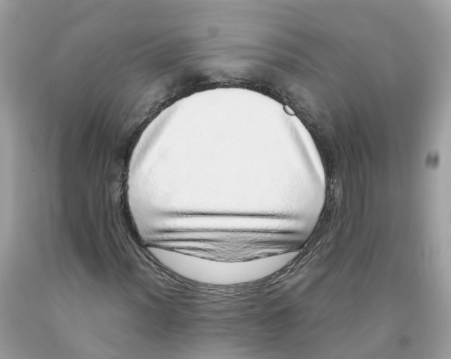 X0000091101012200709041319