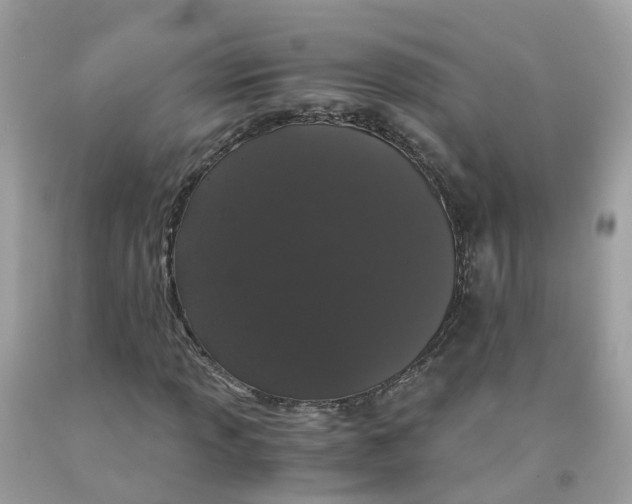 X0000091101013200709041319