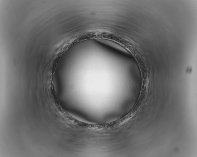 X0000091101014200709041319