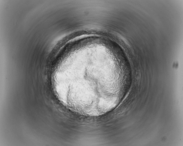 X0000091101016200709041319