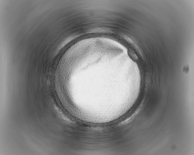 X0000091101017200709041319