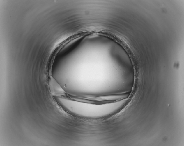 X0000091101018200709041319