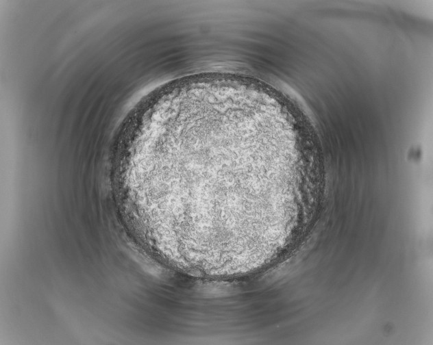 X0000091101019200709041319