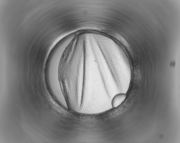 X0000091101020200709041319