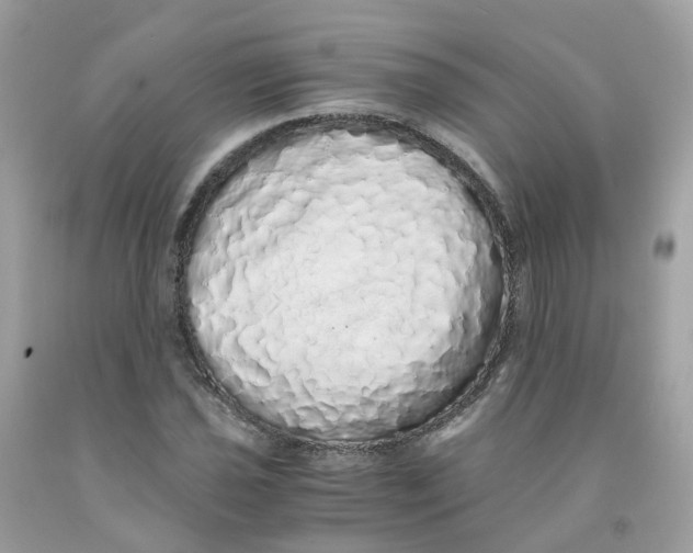 X0000091101021200709041319