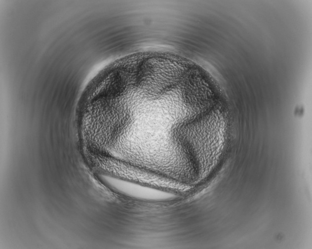 X0000091101022200709041319