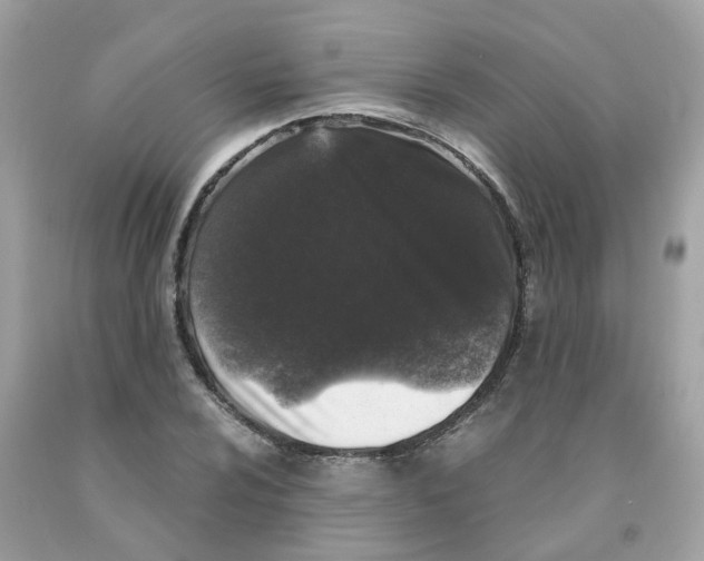 X0000091101024200709041319