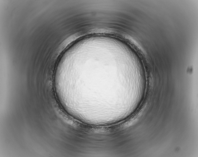 X0000091101025200709041319