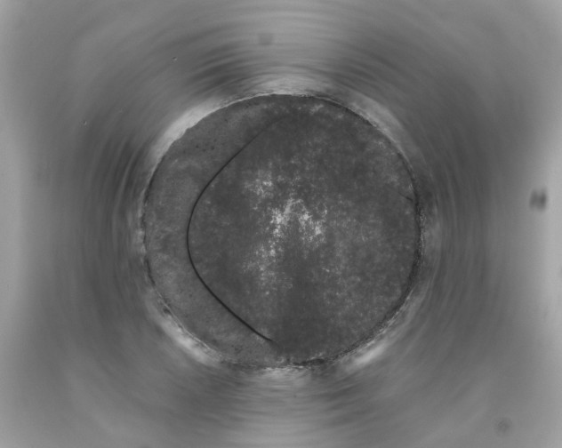 X0000091101026200709041319