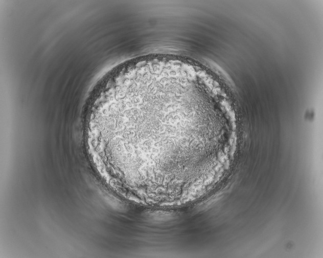 X0000091101027200709041319