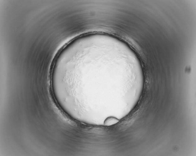 X0000091101028200709041319