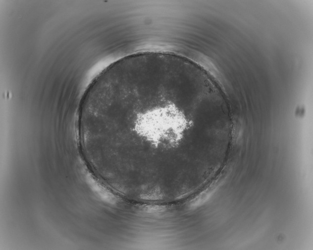 X0000091101030200709041319