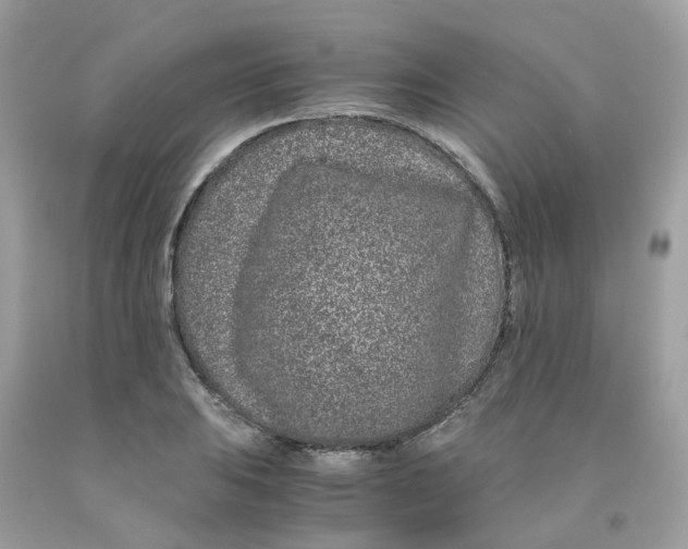 X0000091101031200709041319