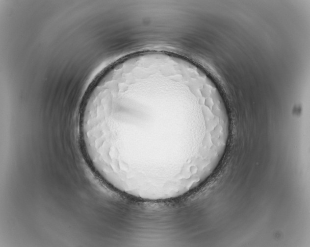 X0000091101032200709041319