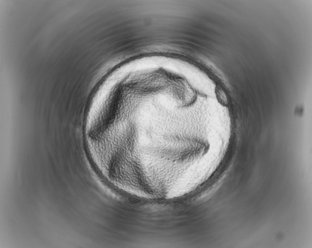 X0000091101033200709041319