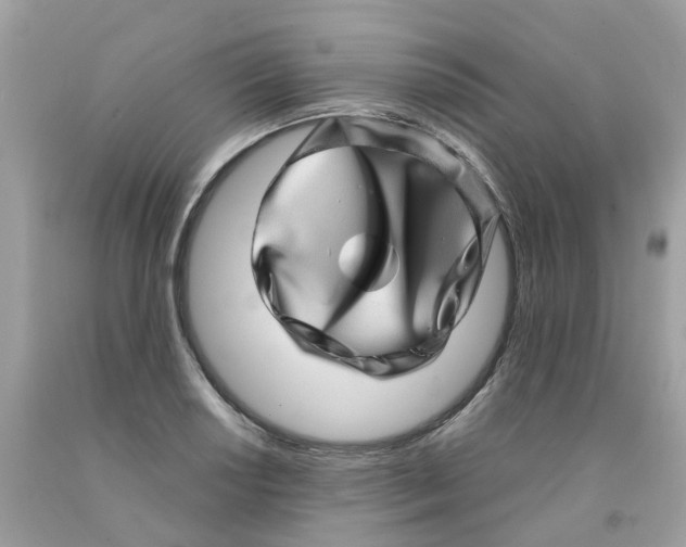 X0000091101034200709041319