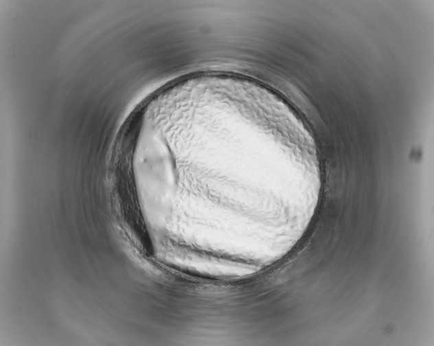 X0000091101036200709041319