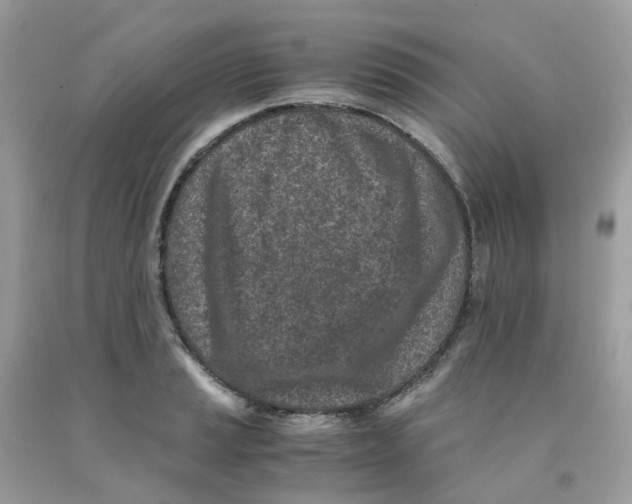 X0000091101037200709041319