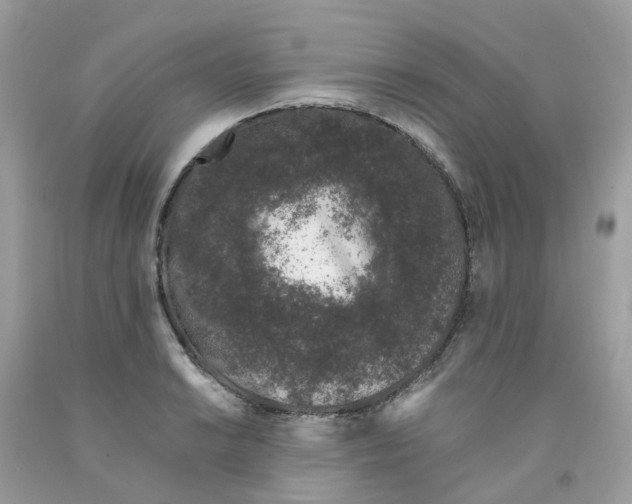 X0000091101038200709041319