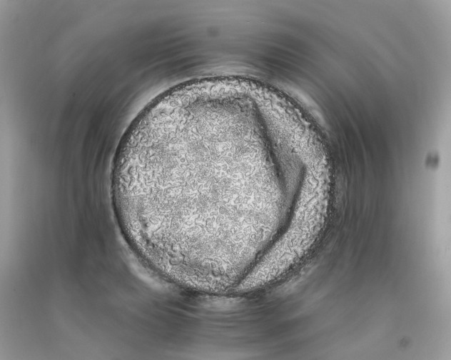 X0000091101039200709041319