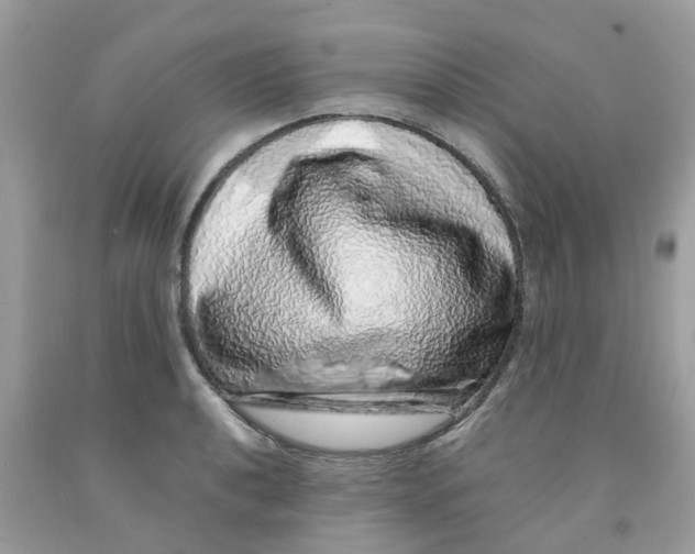 X0000091101040200709041319