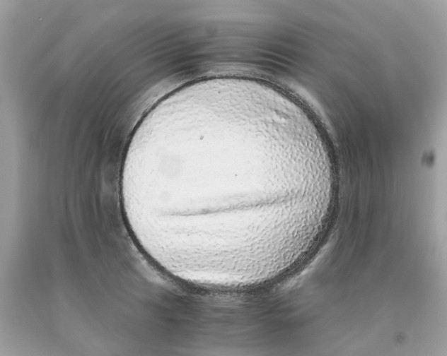 X0000091101041200709041319