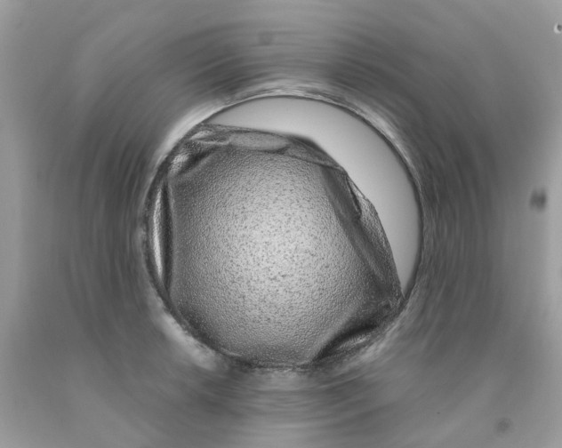 X0000091101042200709041319