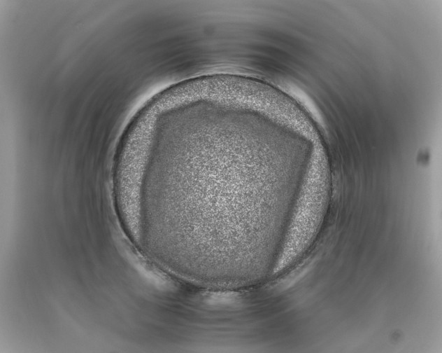 X0000091101043200709041319