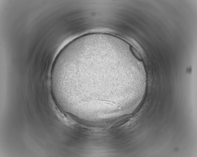 X0000091101044200709041319