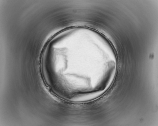 X0000091101045200709041319