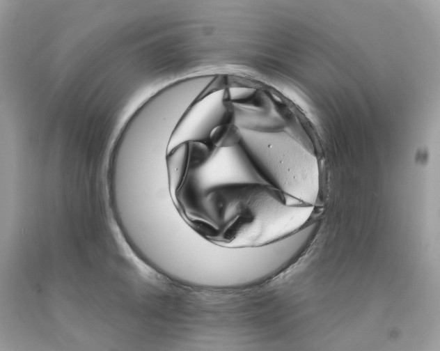 X0000091101046200709041319