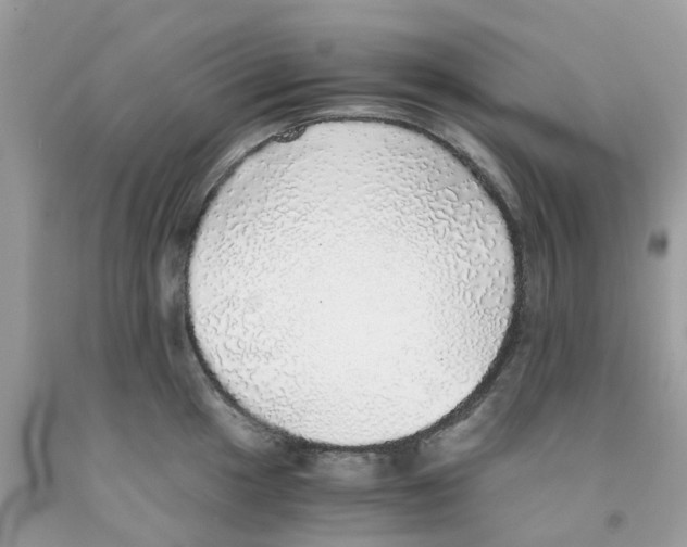 X0000091101049200709041319