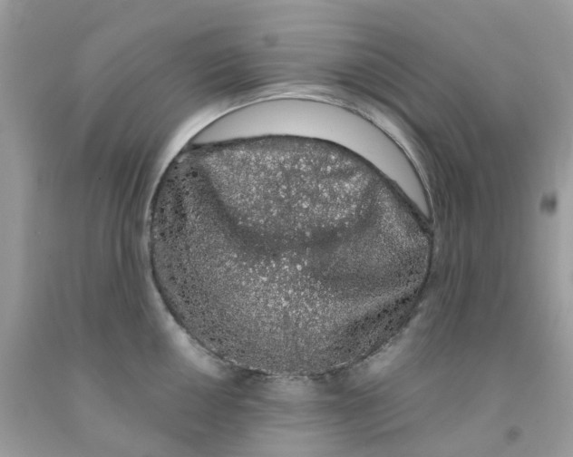 X0000091101050200709041319